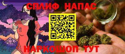 сатива Можга