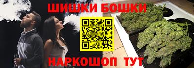 сатива Можга