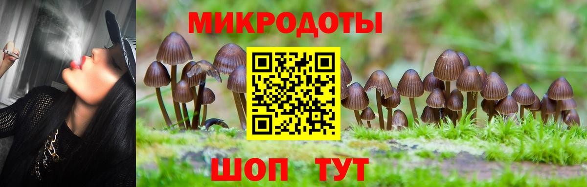 Татарск  Галлюциногенные грибы Magic Shrooms  Вход с VPN  Псилоцибиновые грибы ЛСД 